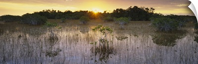 Sunrise over a pond, Everglades National Park, Florida