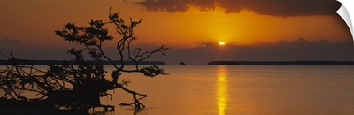 Sunrise over bay, Florida Bay, Everglades National Park, Florida