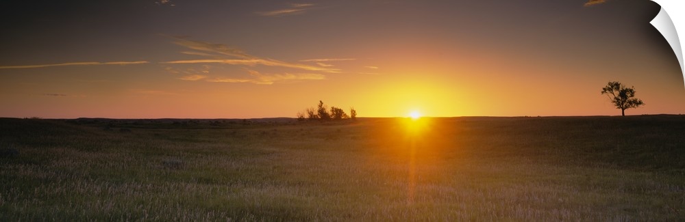 Panoramic picture taken of the sun rising just over the horizon and onto a massive grass plain.