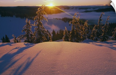 Sunrise over snowy slope, frosted pine trees, Oregon Cascades, Oregon, united states,