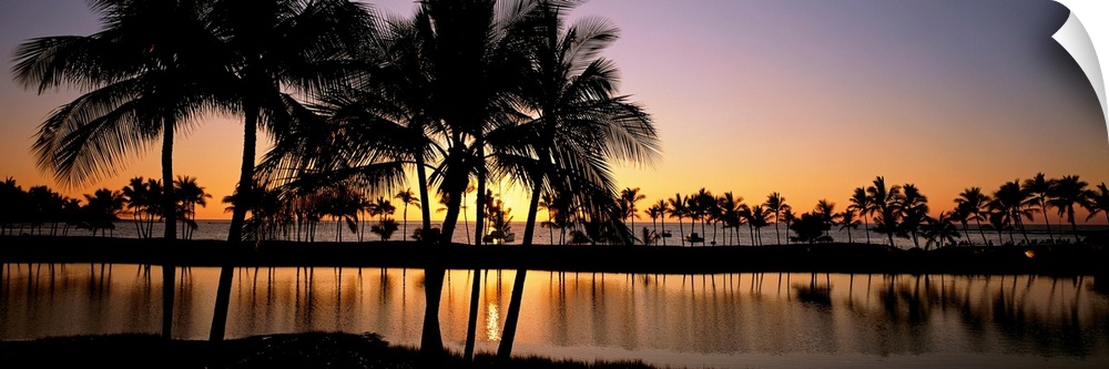Panoramic photograph taken of a colorful sunset where the silhouette of the palm trees and landscape can be seen reflectin...