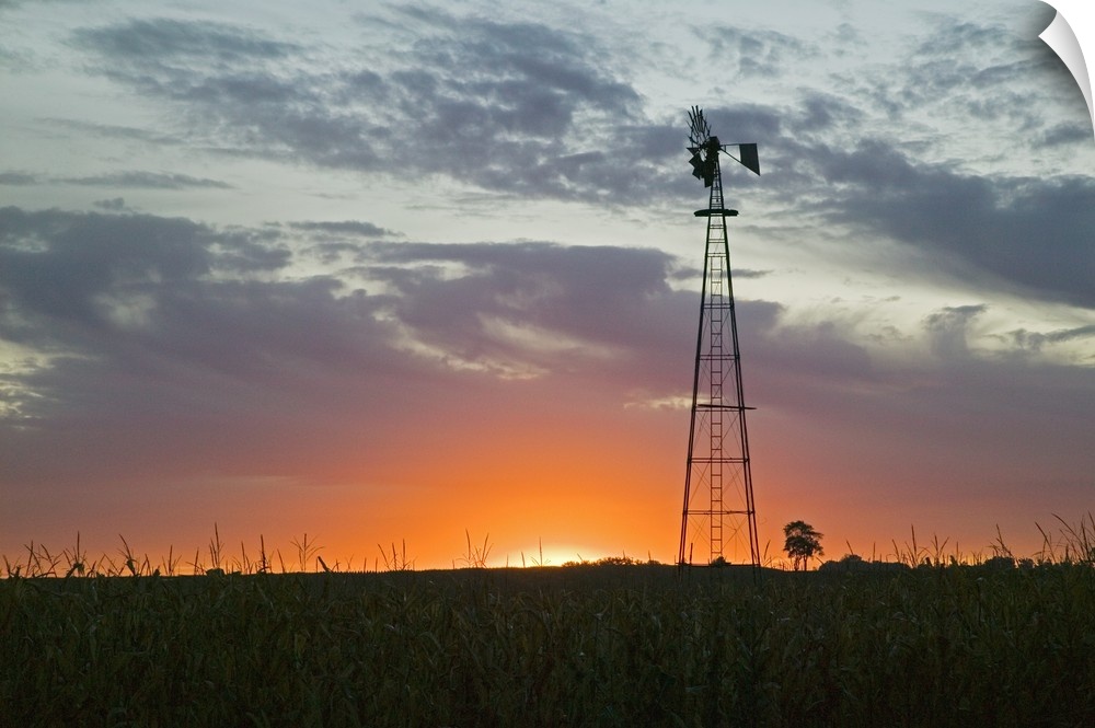 A tall windmill rises above a crop field on a farm with just the edge of the setting sun peeking over the horizon.