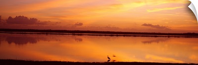 Sunset Crooked Tree Lagoon Belize