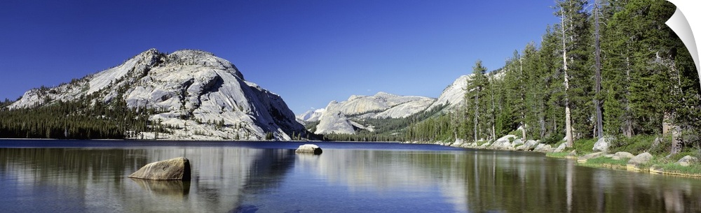 Panoramic view of immense cliffs and tall pine trees that line a body of water and reflect in it.