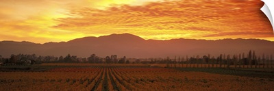 Sunset Napa Valley CA