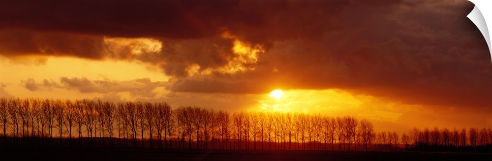 Sunset near Brugge Belgium