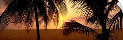 Sunset on 7-Mile Beach, Negril, Jamaica