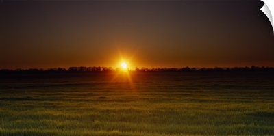 Sunset over a field, Sacramento County, California