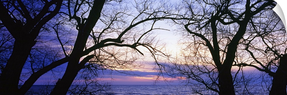 Horizontal panoramic photo of Lake Erie seen between the bare tree branches as the sun sets behind clouds.