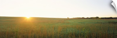 Sunset over a landscape, Iowa County, Wisconsin,