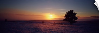 Sunset over a snow covered landscape, Lewis and Clark County, Montana