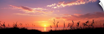 Sunset over the sea, Venice Beach, Sarasota, Florida