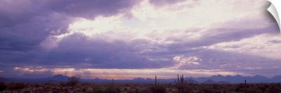 Sunset Sonoran Desert Tonto National Forest AZ