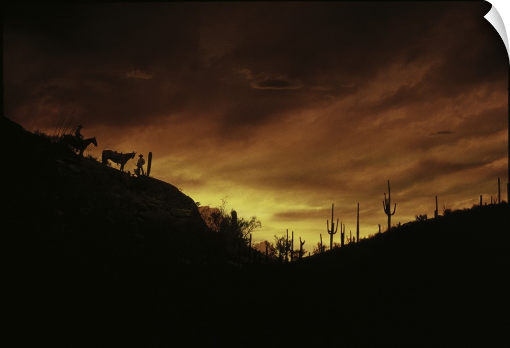 Two cowboys and their horses are silhouetted against the fading sunlight, along with tall cactuses, in a dry desert landsc...