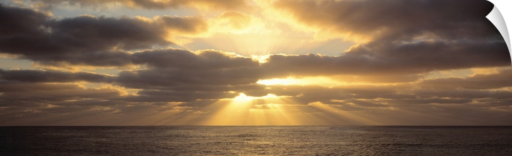 Panoramic photograph on a big canvas of a sunset beaming through large clouds, over the water in Sub Antarctic, Australia.