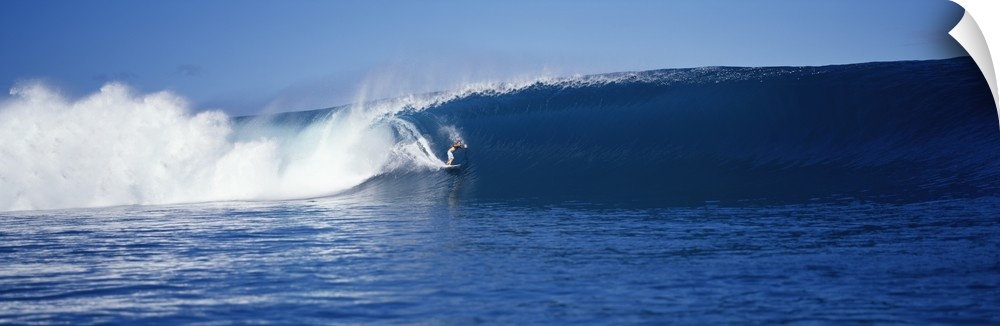 A brave surfer cuts across a plunging wave as it breaks behind his board, almost enclosing him in the tube.
