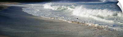 Surfer With Crashing Waves on Beach Waimea Bay HI