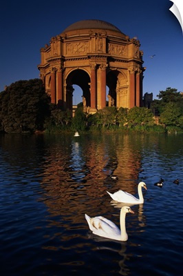 Swans and Palace of Fine Arts