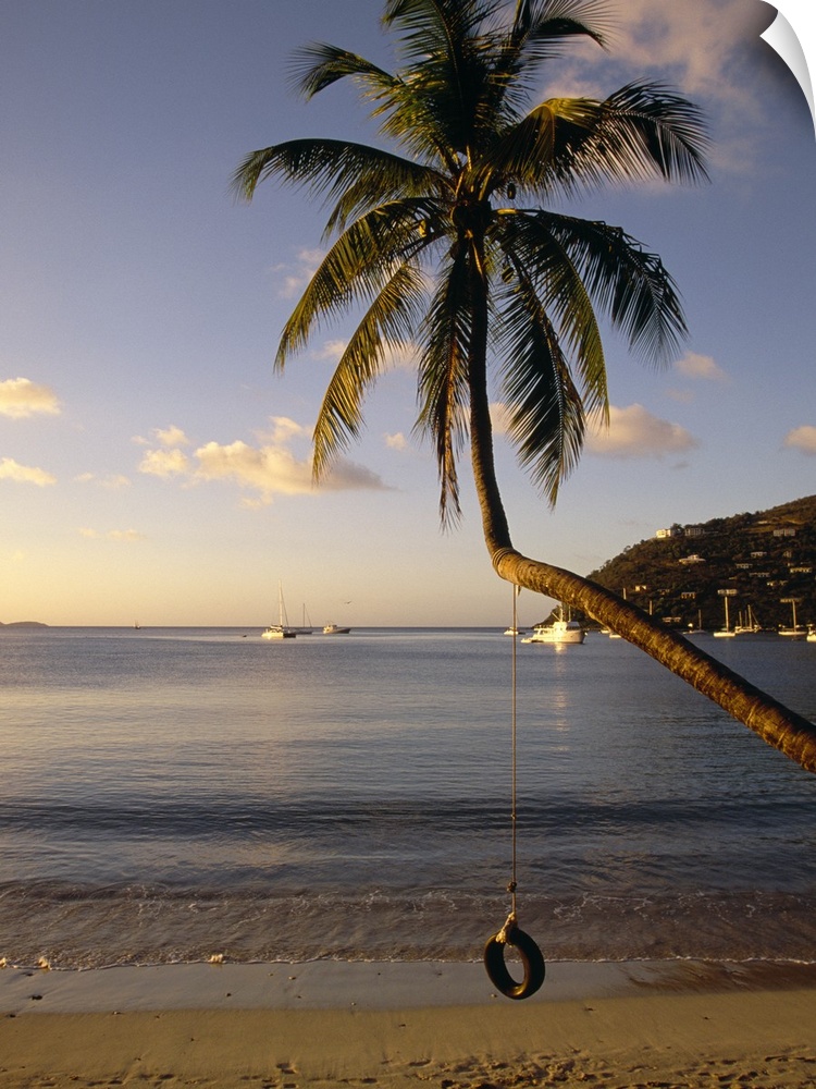 A tire swing hangs from a crooked tree growing over the sandy beach at this tropical island harbor.