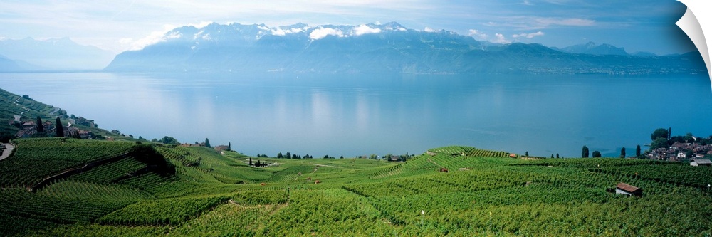Switzerland, Lake Geneva , landscape