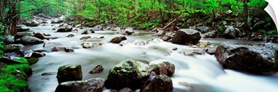 Tennessee, Great Smoky Mountains National Park, Little Pigeon River, View of water flowing over rocks