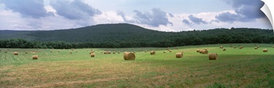 Tennessee, Warren County, Hay bales in the farmland