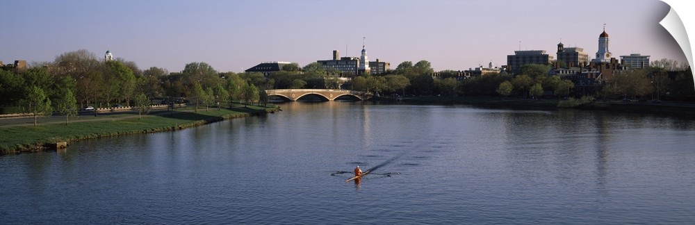 Panoramic photograph of rower in lake lined by trees with bridge in the distance under a clear sky.