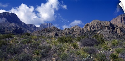 The Chisos Mountains Big Bend National Park TX