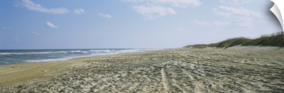 Tire tracks on the beach, Cape Hatteras, Outer Banks, North Carolina