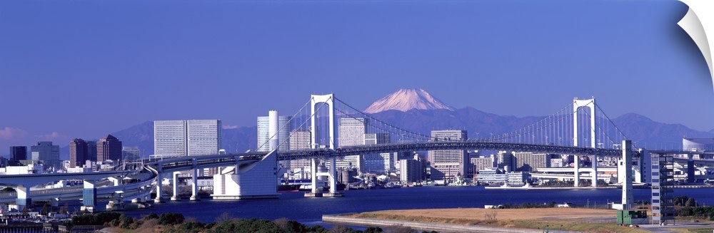 Large panoramic piece of the Tokyo skyline with a bridge and buildings in full view and a mountain shown in the background.