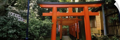 Torii Gates in a park, Ueno Park, Taito, Tokyo Prefecture, Kanto Region, Japan