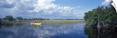 Tourist kayaking in a pond, Nine Mile Pond Canoe Trail, Everglades National Park, Florida,