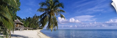 Tourist resort on the beach, Matira Beach, Bora Bora, French Polynesia