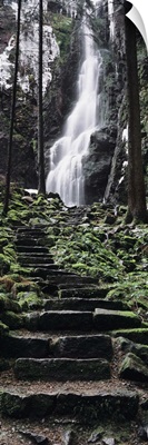 Track to a waterfall in a forest, Burgbach Waterfall, Black Forest, Germany