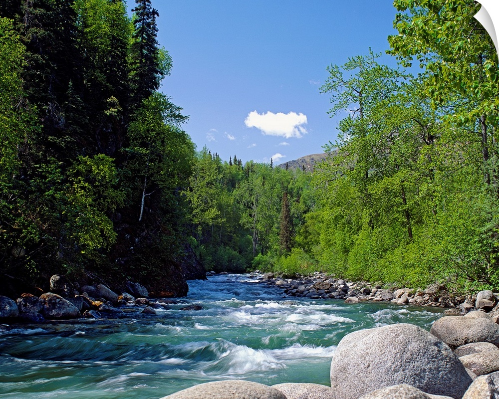 A boulder filled stream courses through the wilderness surrounded by trees in this landscape photograph.