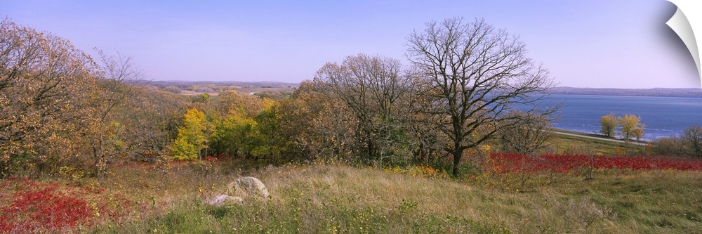 Trees and wild flowers on a landscape, Seven Sisters Prairie Nature Conservancy, Minnesota