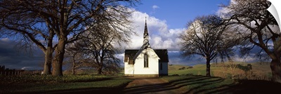 Trees around a church, Pukehou Christ Church, North Island, New Zealand