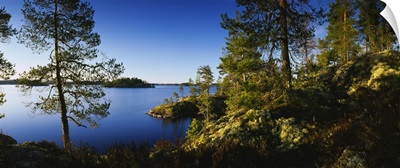 Trees at the lakeside, Lake Saimaa, Puumala, Finland
