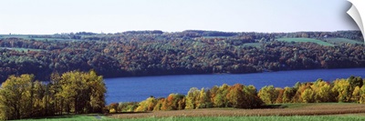 Trees at the lakeside, Owasco Lake, Finger Lakes, New York State