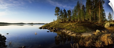 Trees at the lakeside, Saimaa, Puumala, Southern Savonia, Eastern Finland, Finland