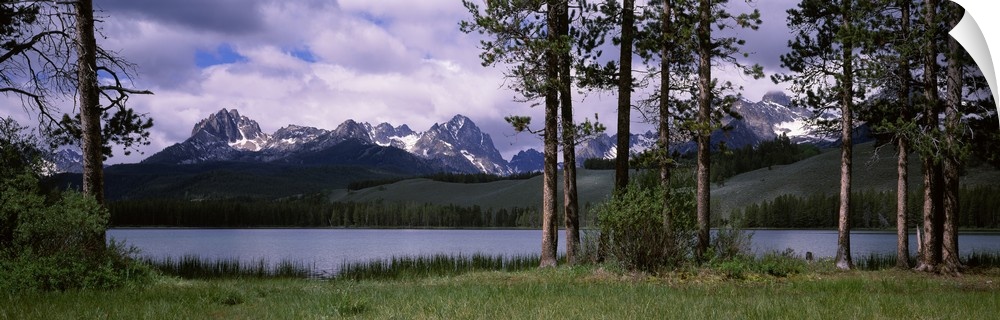 Trees at the lakeside with mountains in the background Little Redfish Lake Sawtooth National Recreation Area Custer County...