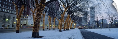 Trees decorated with Christmas lights, Illinois, Chicago