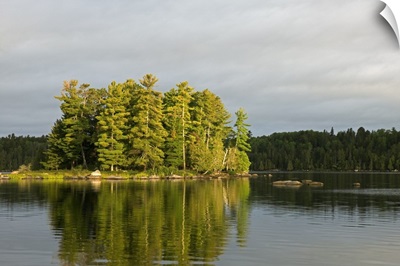 Trees growing on small island, water reflection, Lake Agnes, Boundary Waters Canoe Area Wilderness, Minnesota