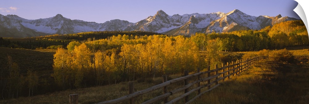 Wide angle photograph on a large canvas of a wooden fence running through a golden fall landscape of Dallas Divide, the sn...