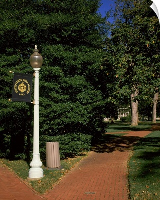 Trees in a garden, United States Naval Academy, Annapolis, Anne Arundel County, Maryland