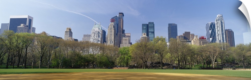Trees in a park with buildings in the background, Central Park South, Central Park, Manhattan, New York City, New York State