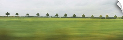 Trees in a row viewed through a train window, Baden-Wurttemberg, Germany