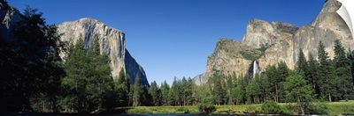 Trees in a valley, Yosemite Valley, Yosemite National Park, California