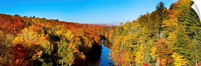 Trees in autumn at Dead River, Marquette County, Upper Peninsula, Michigan