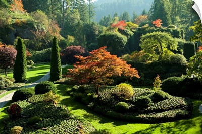 Trees in Butchart Gardens, Victoria, Vancouver Island, British Columbia, Canada